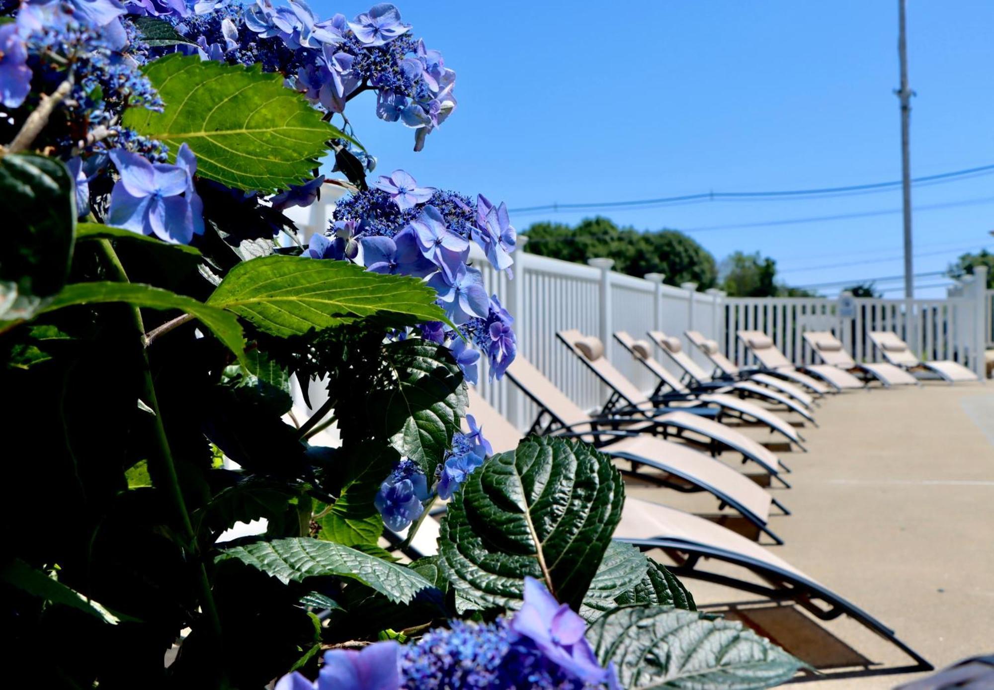 Sea View Motel Оганквіт Екстер'єр фото